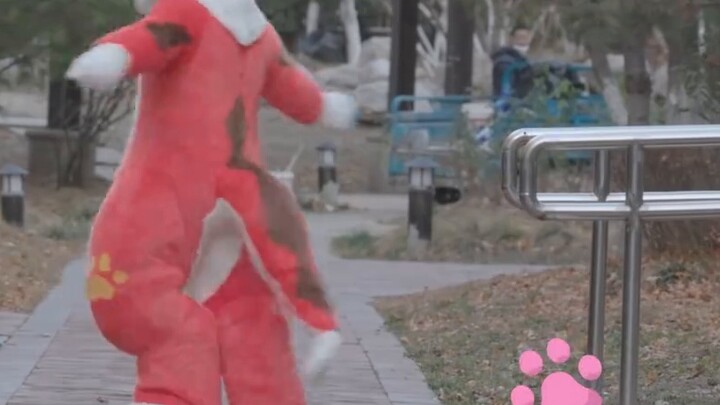 Meow-chan có thể làm được gì trong 45 giây?