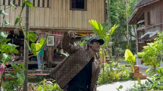 Explore Laotian traditional culture