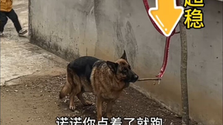 แม้แต่เอไอก็ยังไม่ลื่นไหลขนาดนี้เลย!