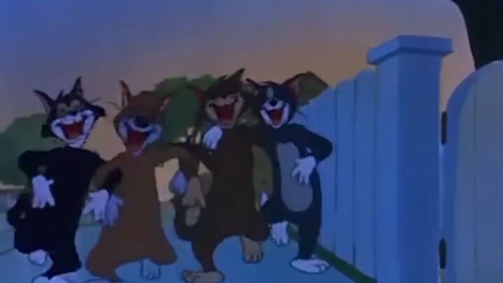 Alley cats