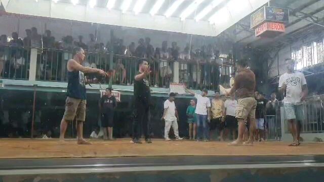 isa sa mga palahi ko na puti,,Biboy line.solid (win )