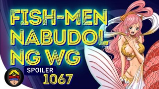 Niloko ng World Government ang Fish-men | Spoiler 1067