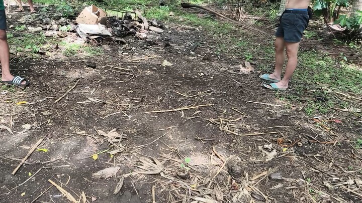 Win si balbas. pang sugba² lang