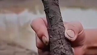 คุณยาย: ที่เผาไปหลายปีนี้ ฉันไม่ได้เก็บไว้เลยสักแดงเดียว