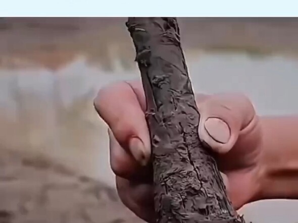 คุณยาย: ที่เผาไปหลายปีนี้ ฉันไม่ได้เก็บไว้เลยสักแดงเดียว