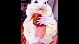 โดนเทไม่เท่าไหร่ โดนเพื่อนด่านี่เจ็บจัง