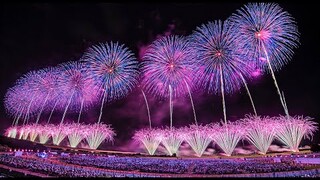 長岡花火 ３年ぶりの復興祈願フェニックス 2022  - Nagaoka Fireworks Phoenix Display 2022 - (Panasonic S5 + BRAW)