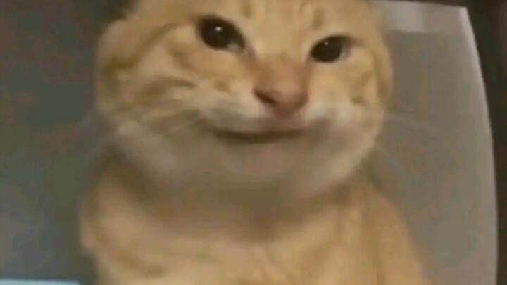 Share this with your favorite octogenarian friend!