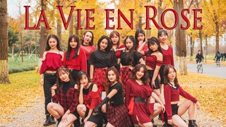14 cô gái xinh đẹp nhảy theo phiên bản MAMA của IZ*ONE trong bài hát La Vie en Rose trong mùa Ginkgo