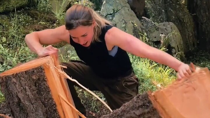 Log splitting