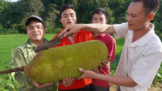 BỔ MÍT SIÊU TO LÀM SỮA CHUA CẢ BẢN ĂN