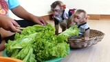 So Lovely Baby Monkey Maki and Maku obediently sitting in Basket beside Mom cleaning vegetables