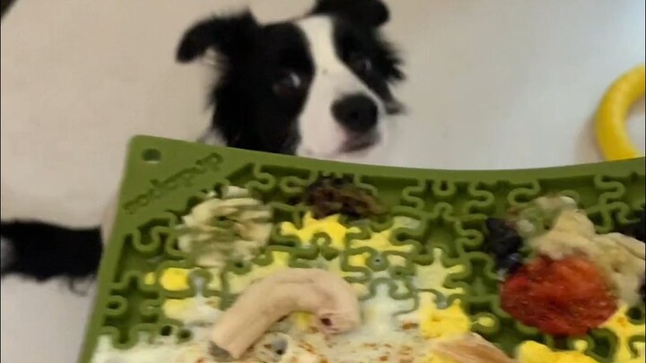 This licking pad is so ugly it’s giving me a headache.