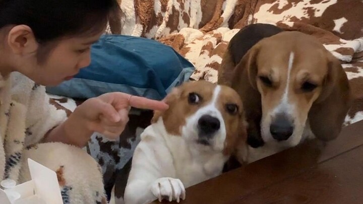 ทุกคน ฉันคิดว่าระหว่างเราคงมีอะไรเข้าใจผิดกันนะ?