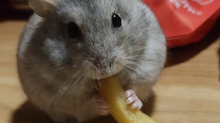 Manusia, dari mana bisa ada makanan yang begitu lezat