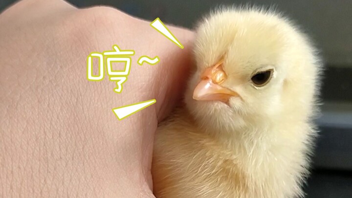 Ranjang ini nggak mau nurut nih! Si cewek kecil mau tidur nih.