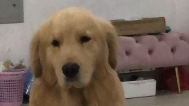 When things go wrong, it’s usually just him barking orders while secretly protecting me.