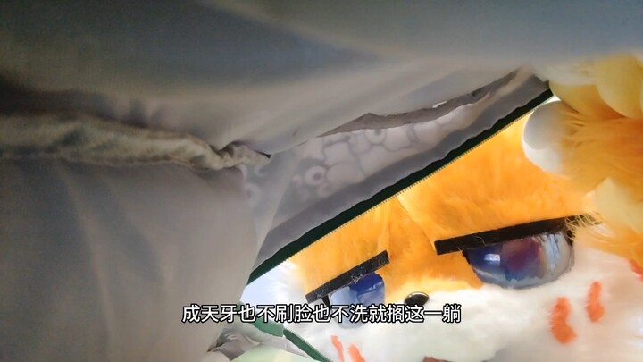 Sao bạn lại ở trong cặp của tôi?