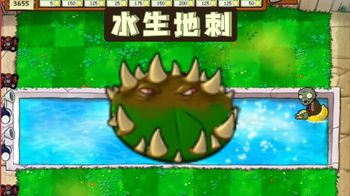 Bạn có muốn trồng những chiếc gai đất có thể sống trong nước không?