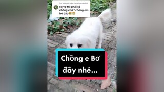 Trả lời  Đây chồng e Bơ đây nhé...cunyeucuadua chó chócon chókhôn chócute