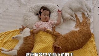 这样有爱又温暖的猫咪防踢被，你们是不是也想拥有