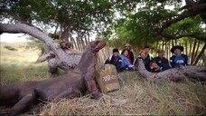 Law of the Jungle in Komodo [7] SUB INDO - BiliBili