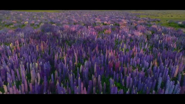 20th Century Girl 2022