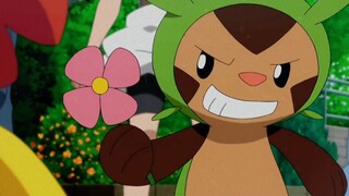 [Pokémon] Perjalanan cinta Harry yang bergelombang