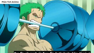 Zoro Có Haki Bá Vương_ - Tiềm Năng Sức Mạnh Của Zoro _ 1