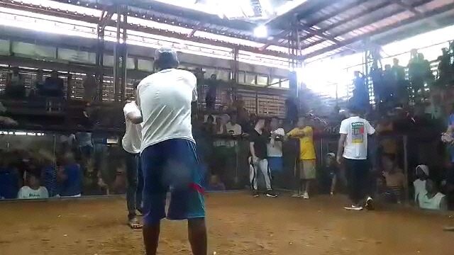 2 wins binuangan cockpit