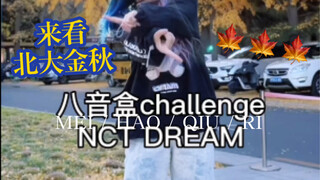 【是北大的金秋啊。】八音盒挑战｜NCT DREAM｜罗渽民｜李楷灿｜李马克｜黄仁俊｜李帝努｜Kpop｜北京大学