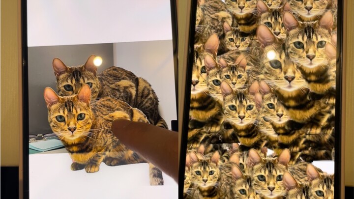 Useless skills have been added again