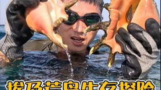 埃及荒岛生存探险第一集，来到四大文明古国之一的埃及，开启新的一期荒岛生存探险！