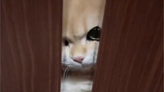 "Aku akan mati kelaparan sedetik lagi!"