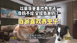 我爸爱养虫子，结果。。。。。