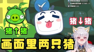 【梨安】什么？有两只猪啊？我看看！😑被耍了气急败坏：你放屁🤬🤣