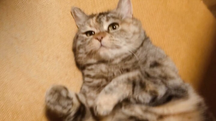 You're already here—might as well take a quick peek before you leave!