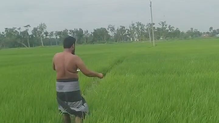 #emotional #bili bili vairal video