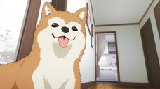 Boochi The Rock Eps 02 sub indo.