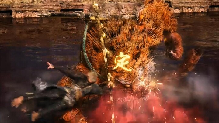 Big Bird Spin