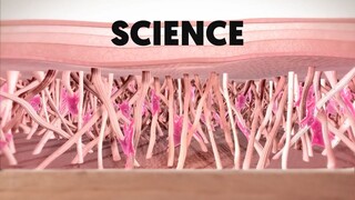 MODULE 2 - SCIENCE