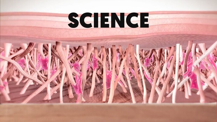 MODULE 2 - SCIENCE