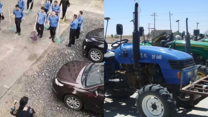 A local agricultural regulator was exposed: after rounding up chickens and ducks, they’ve now starte