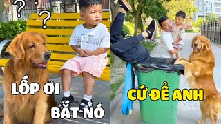 Gia Đình Lốp | Thanh Niên Bắt Nạt Trẻ con gặp phải LỐP và Cái Kết Nhớ Đời 😂 Gâu Đần Official