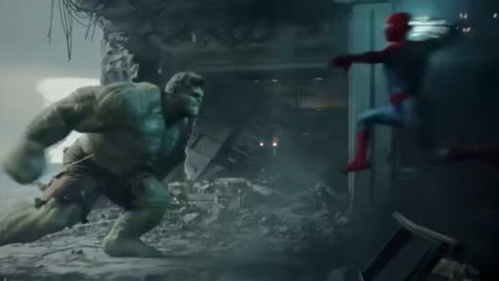 Spider Man Vs Hulk