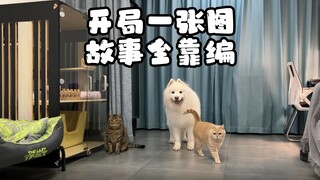 这期视频使用了阿b的AI故事功能，来看看开局一张图，故事全靠编吧！