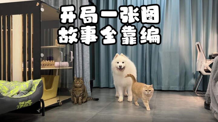 This video uses Ab's AI story feature—let's see how it turns a single image into an entirely made-up