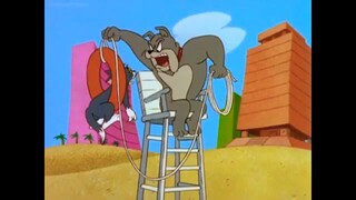 Tom & Jerry Comedy Show - Mouse Over Miami (1980) (AI Voice)