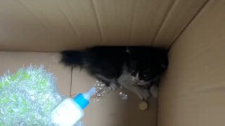 小玩意儿真凶啊