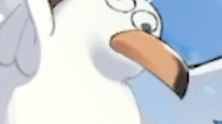 Listen to what the magical seagull says